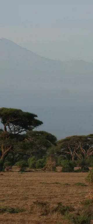 Kenia Safari – bezaubernde Tierwelt